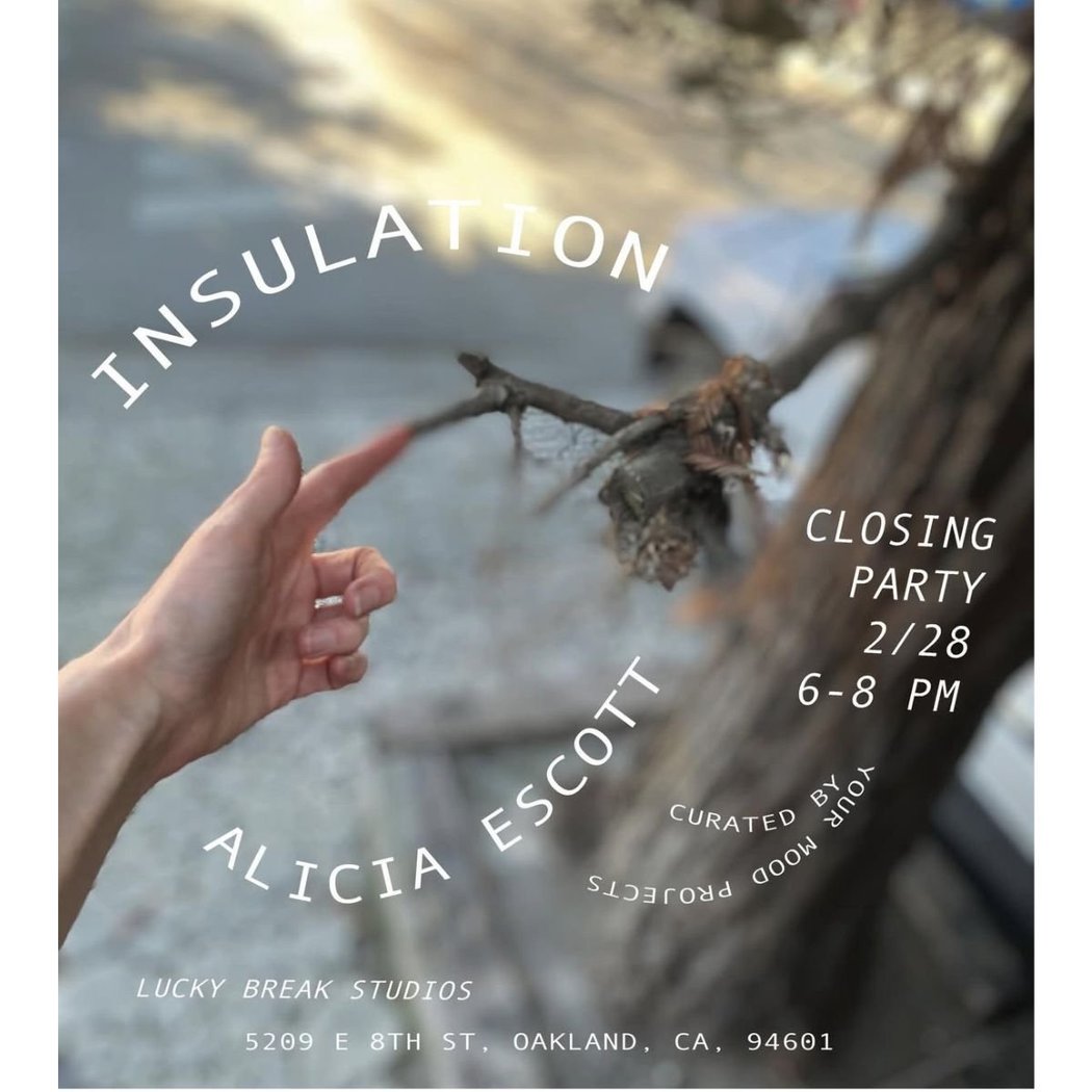 Insulation Closing Party 1