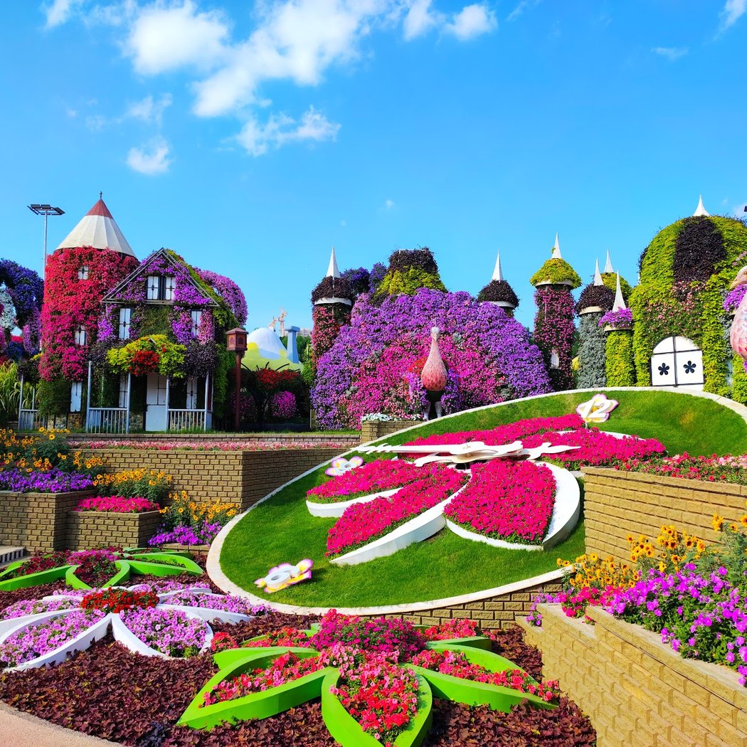 Dubai Miracle Garden 1