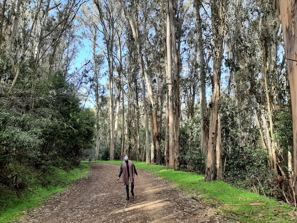 Tilden Nature Area 2