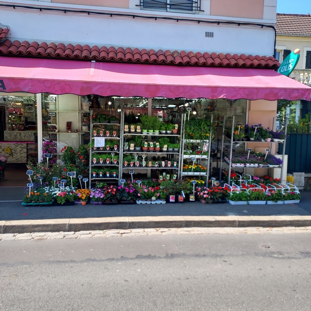 Maxi-Flora 2