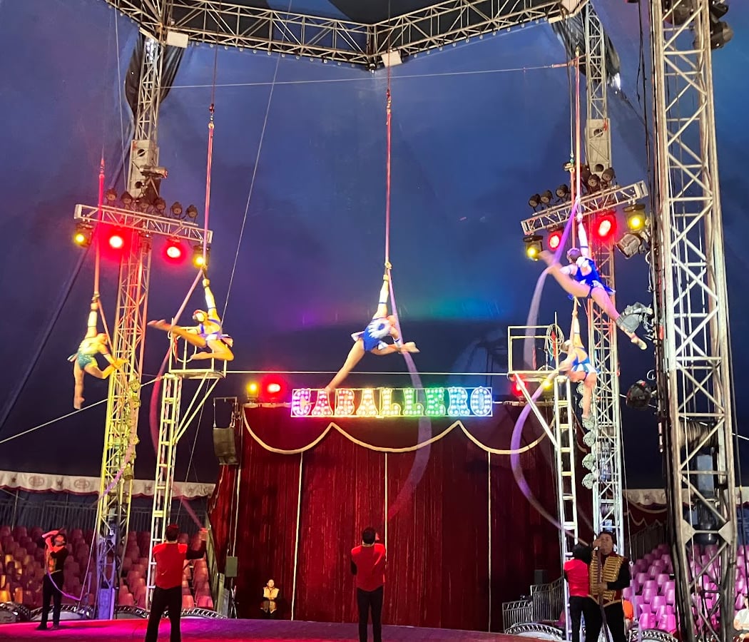 Peking Acrobats 1