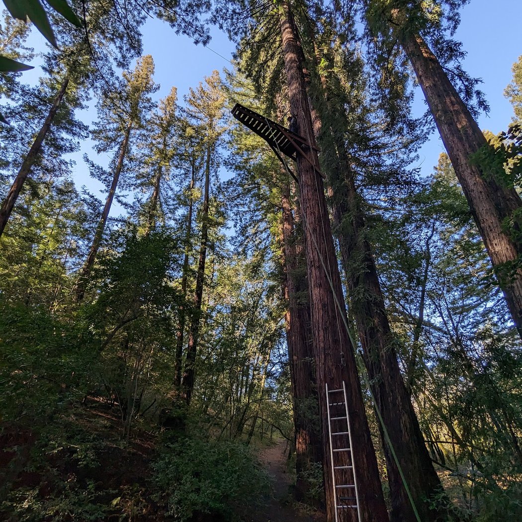 Challenge Sonoma Adventure Ropes Course 2