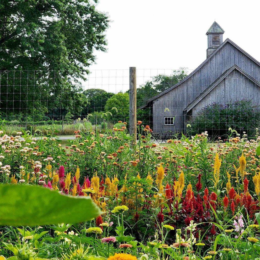 Golden Acres Organic Farm 1