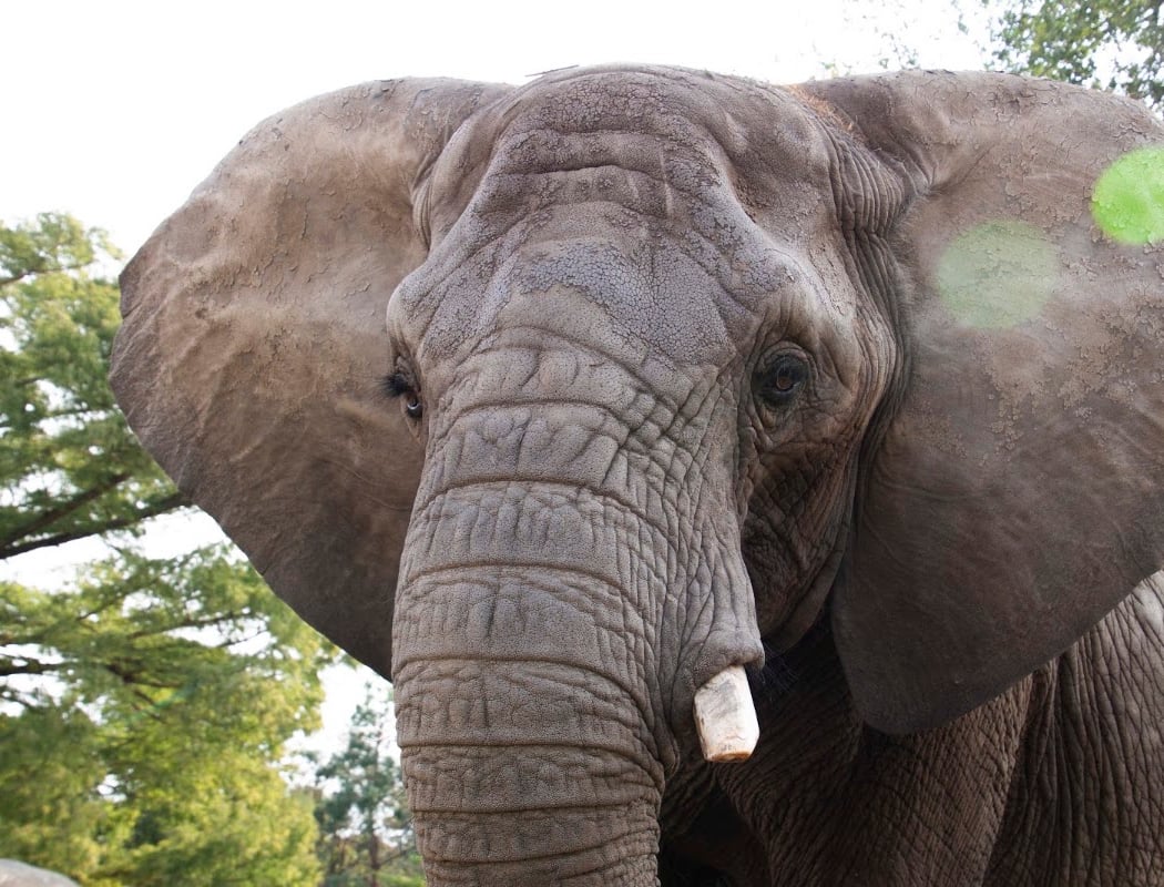 Topeka Zoo 1