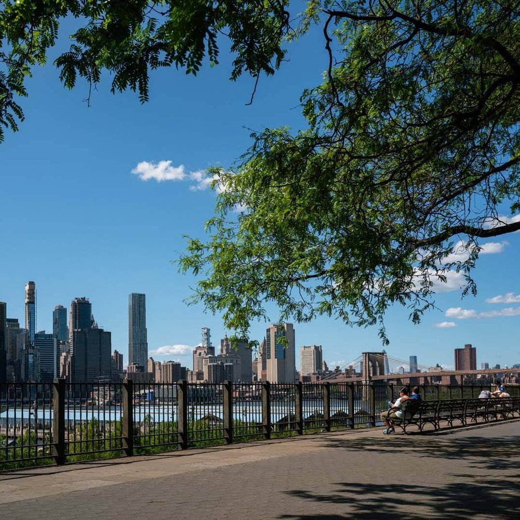 Brooklyn Heights Promenade 1