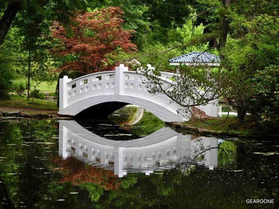 Wickham Park 1
