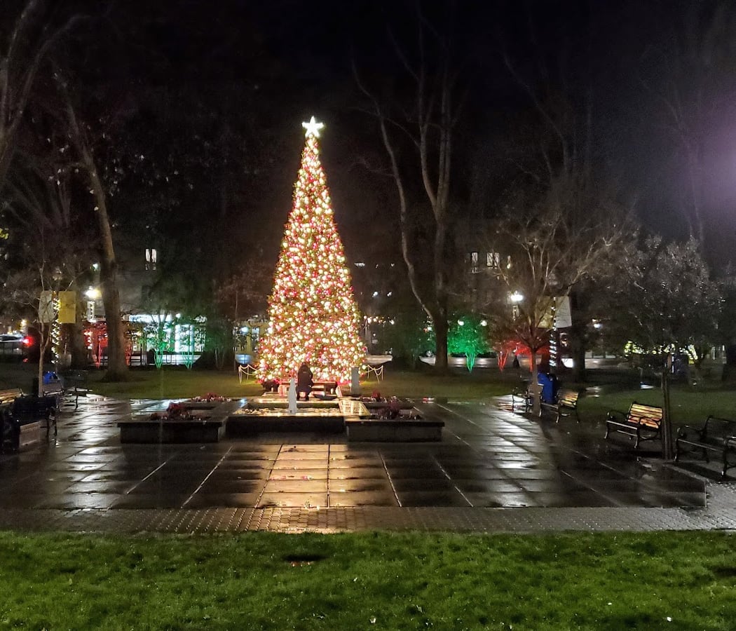 Healdsburg Holiday Shopping Trail Map 1