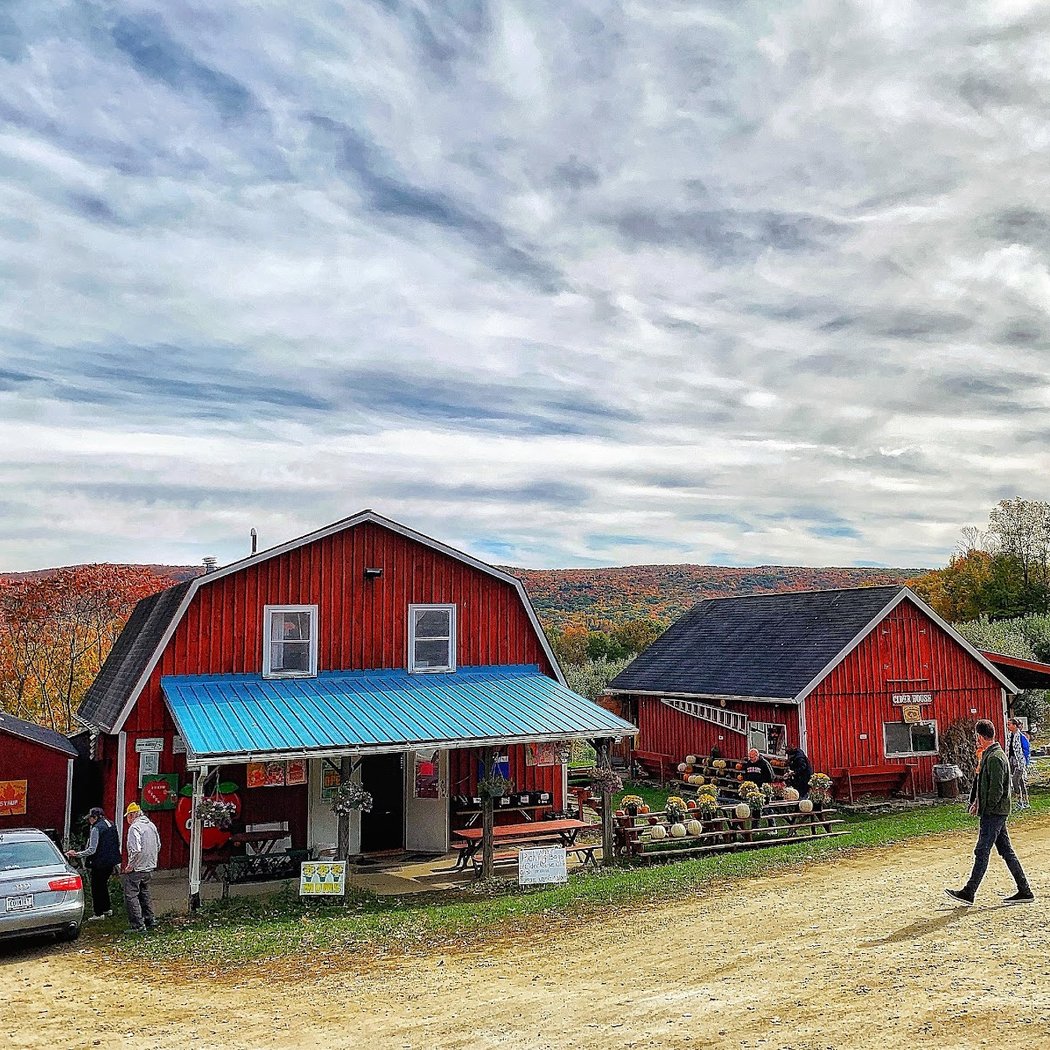 Lakeview Orchard 1