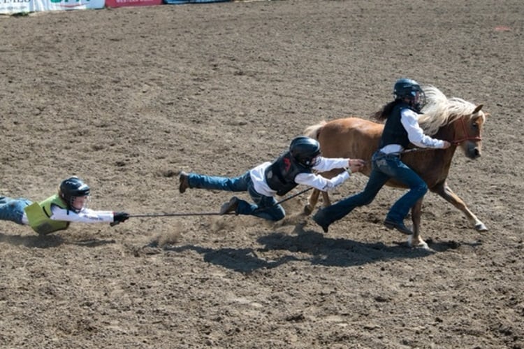 Lerner & Rowe 406 Rodeo 2