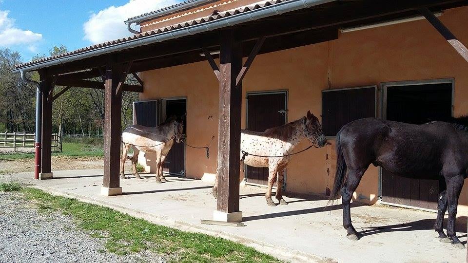 baladecheval31 3