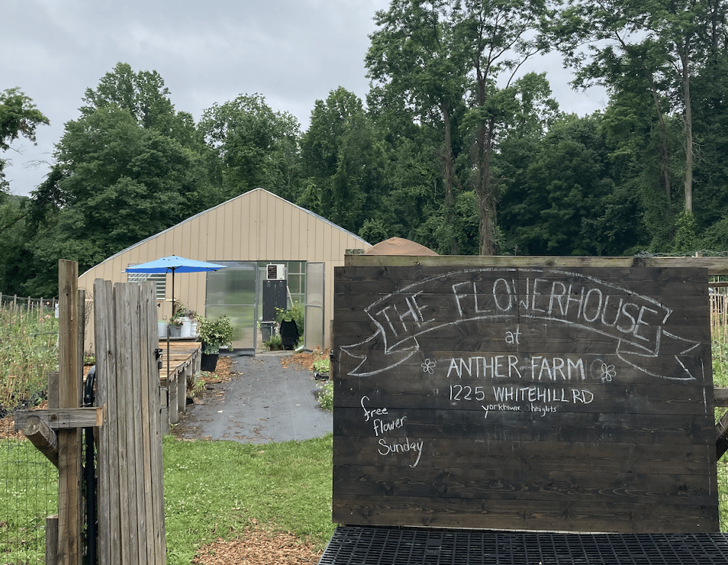 THE FLOWERHOUSE 10547 2
