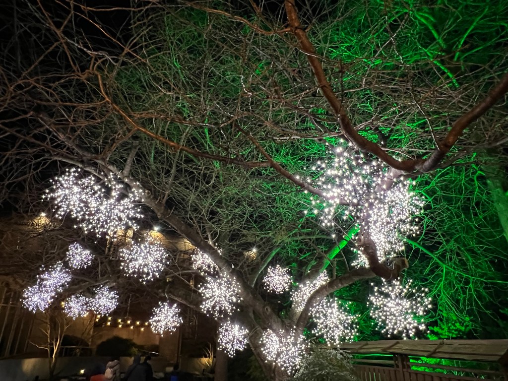 Lightscape 3