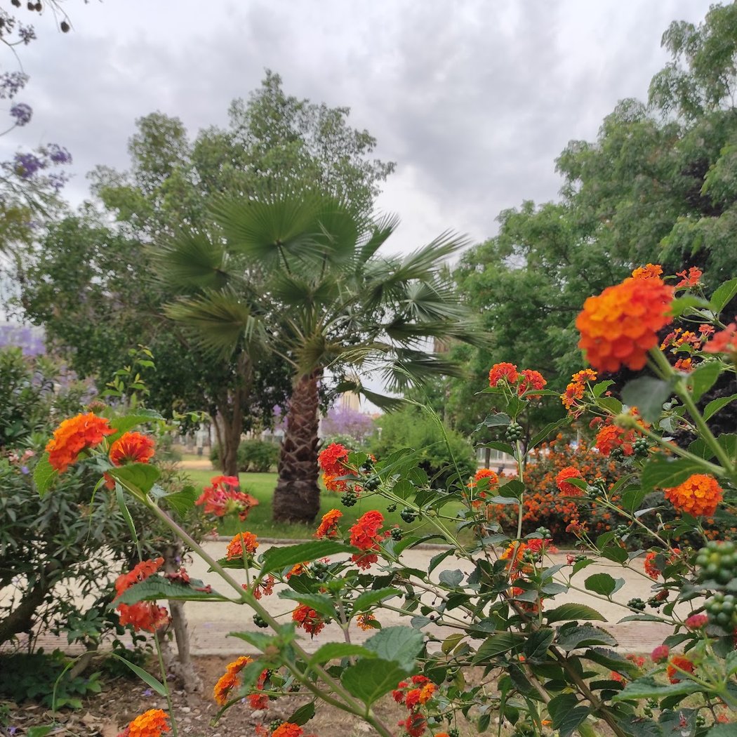 Jardines de La Calzada 2