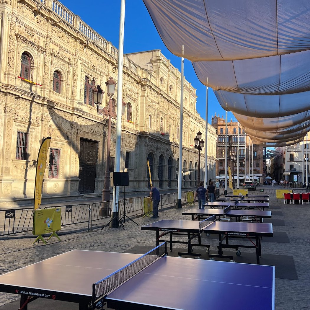 Sevilla Tenis De Mesa City 1