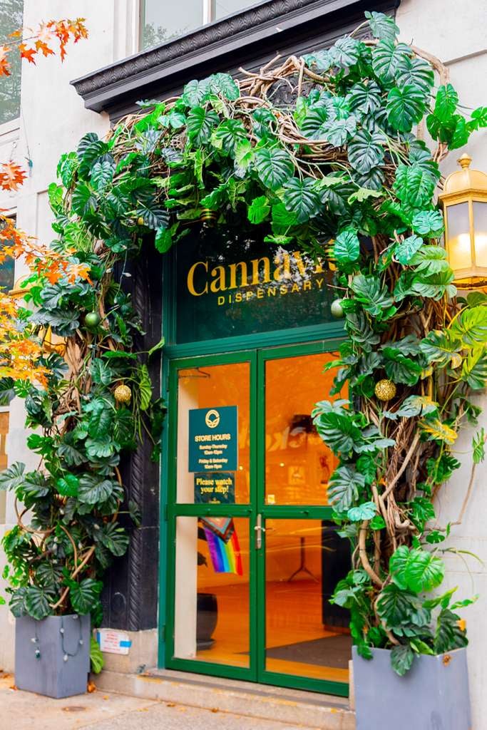 Cannavita High Note Comedy Night 2
