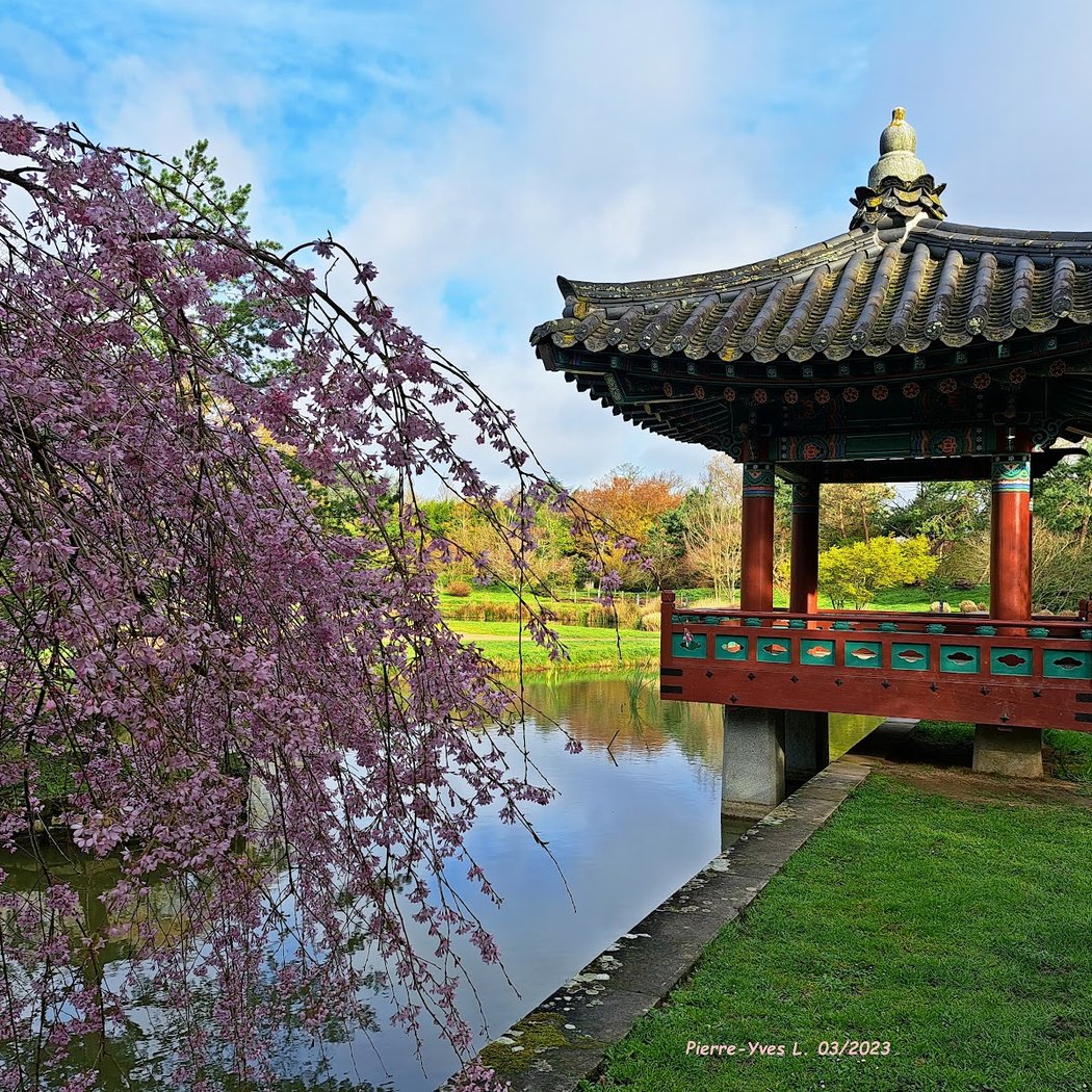 Ateliers sur la botanique, l’horticulture et la création de jardins 1