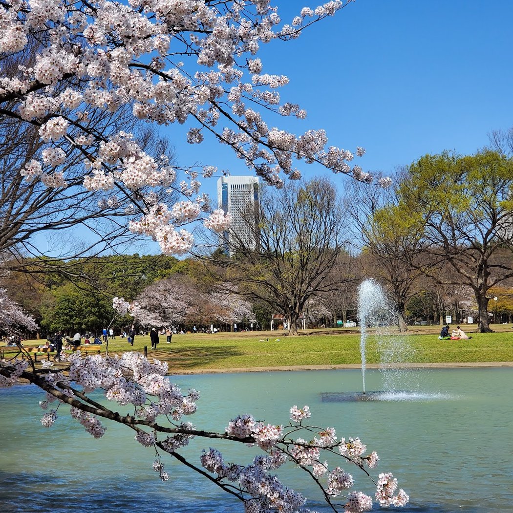 Yoyogi Park 1