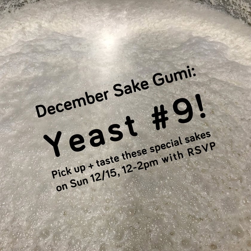 Sake Gumi Social: Yeast #9! 1
