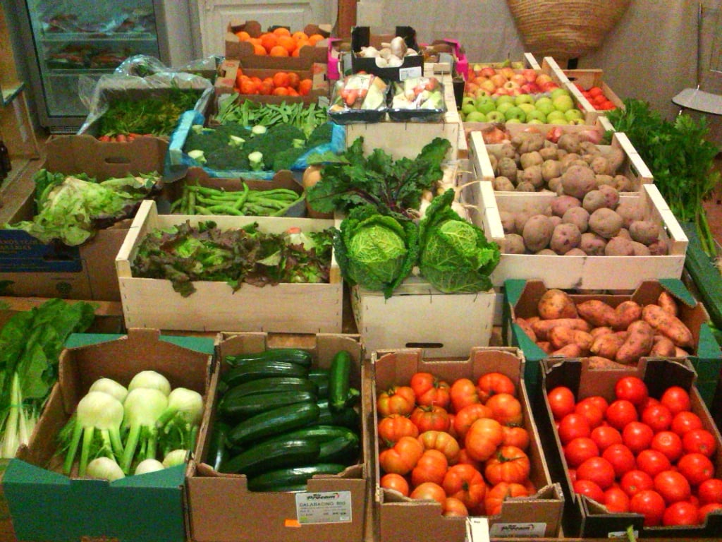 Mercat de Pagès 1