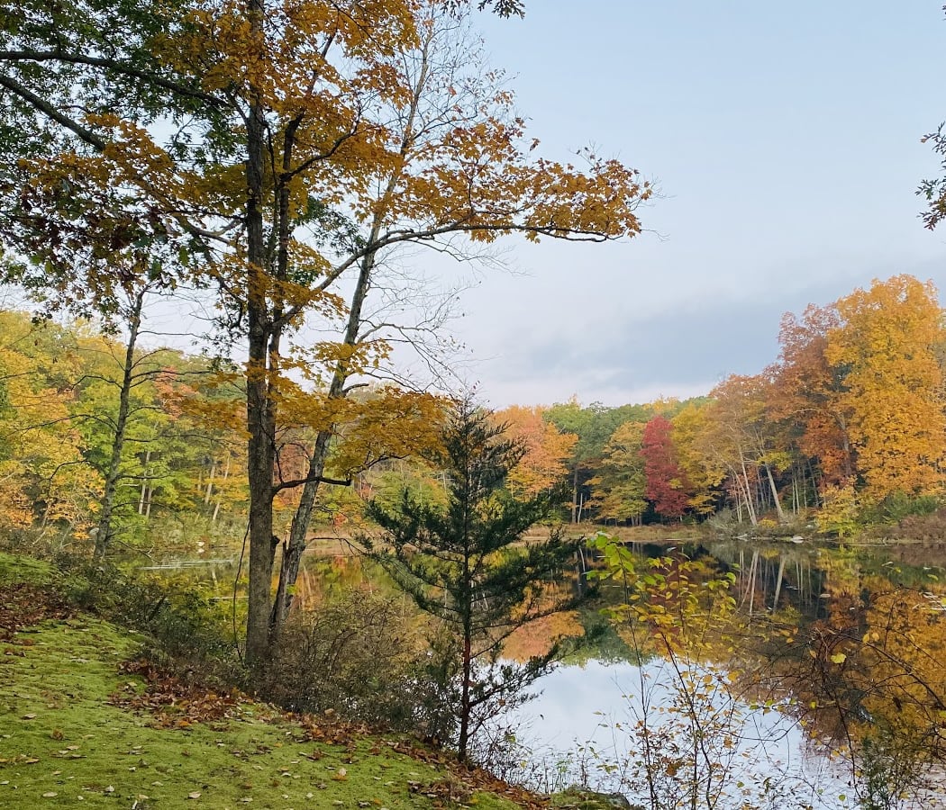 Dharma Drum Retreat Center 2