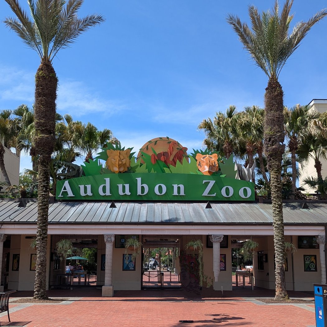 Audubon Zoo 2