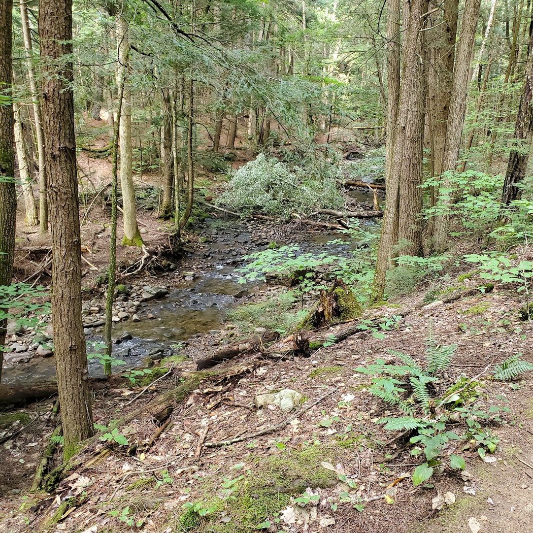 Sleeping Beauty Mountain Trail 2