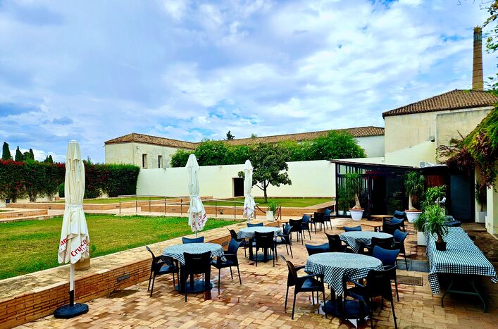 Alma Mater Terraza Restaurante 2