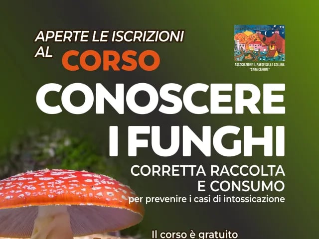 Conoscere i funghi 3