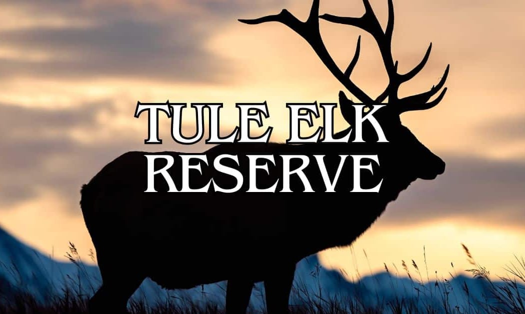 Elk Reserve 2