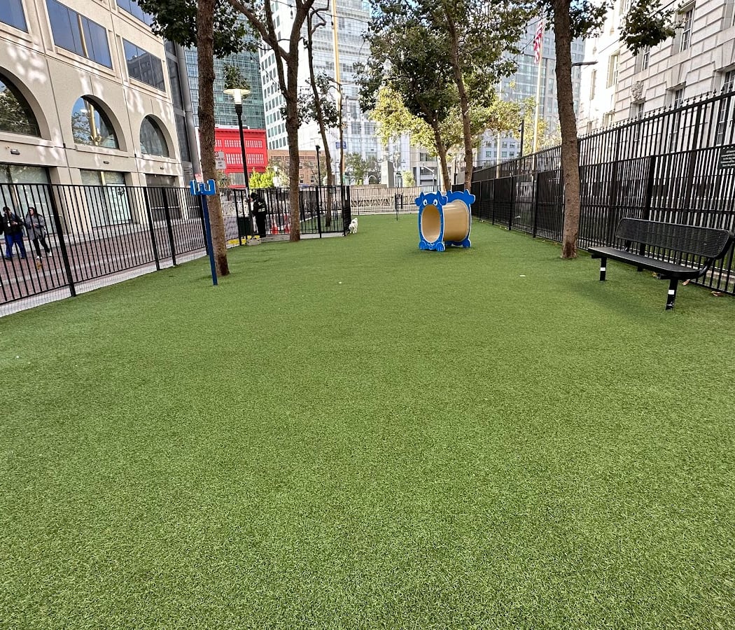 U.N. Plaza Dog Park 2