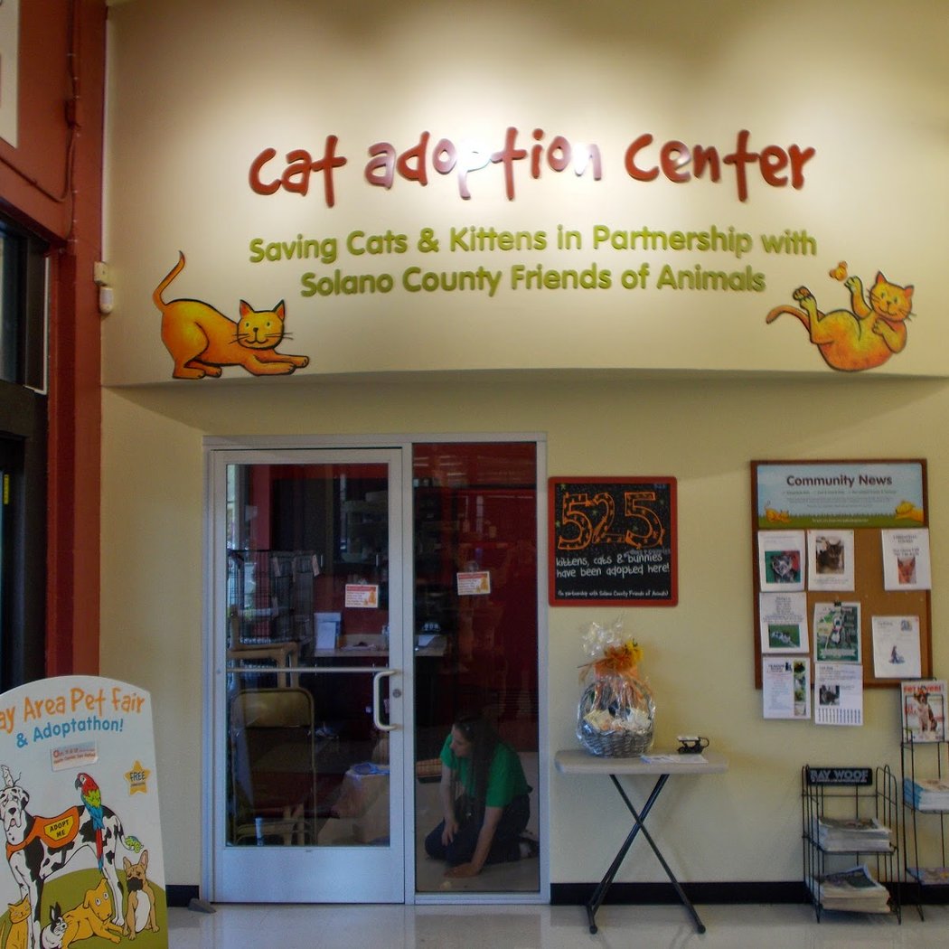 Pet Food Express 2