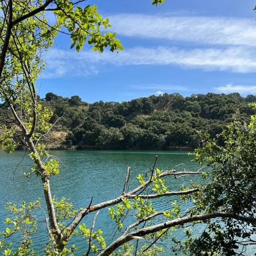 Stevens Creek County Park 3