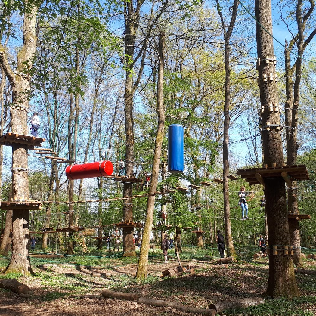 Forest Arena | Parc de loisirs IDF | Accrobranche 77 2