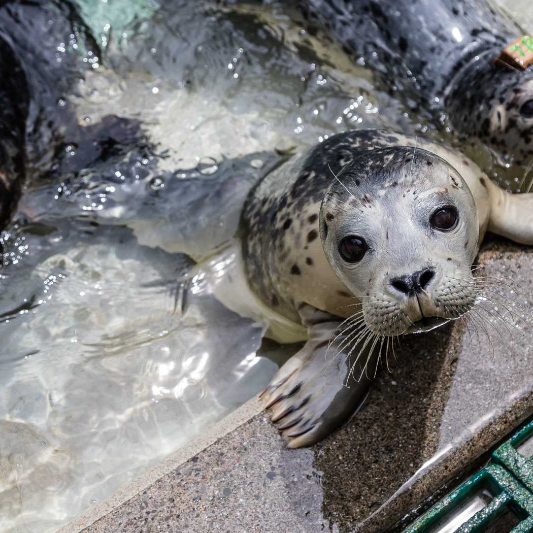 Marine Science Sunday Interactive Programs