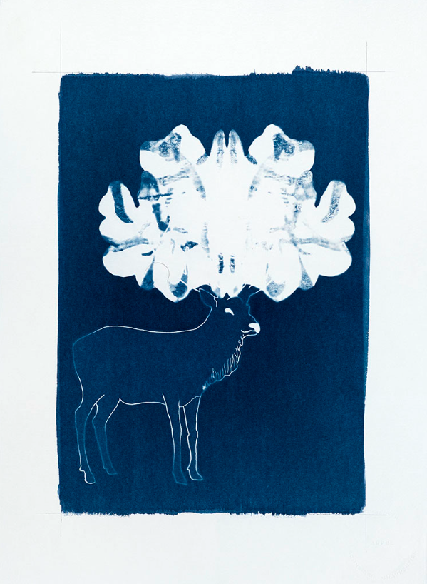 Atelier de pratique en famille - Du portrait au cyanotype avec Elisabeth Schneider 1