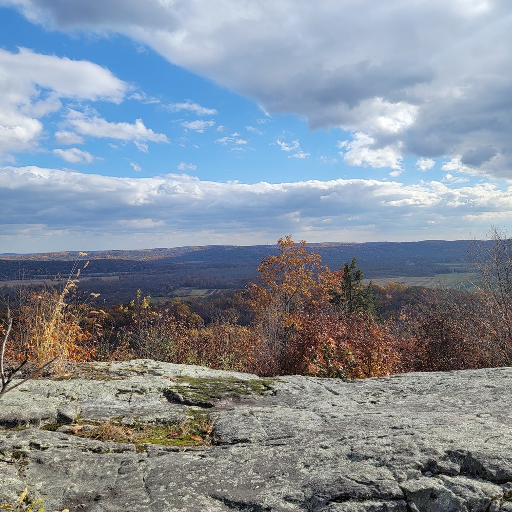 Jenny Jump State Forest 2