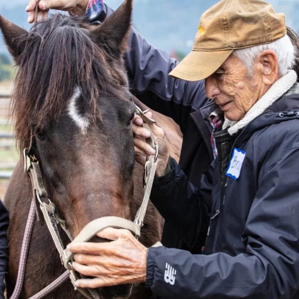 Connected Horse ™ Assisted Workshop 1