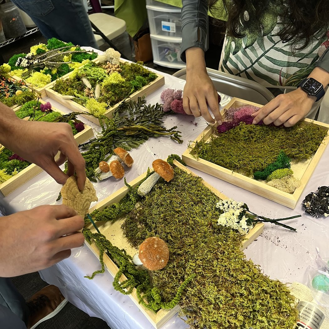 HOUSEPLANT 101 WORKSHOP 2