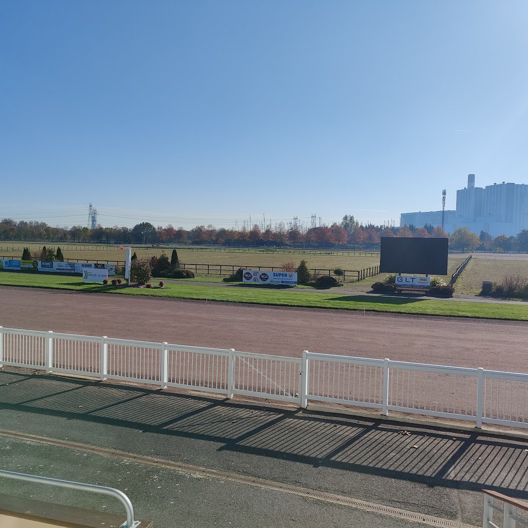 Courses hippiques 3