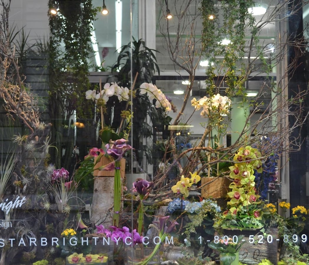 Starbright Floral Design 3
