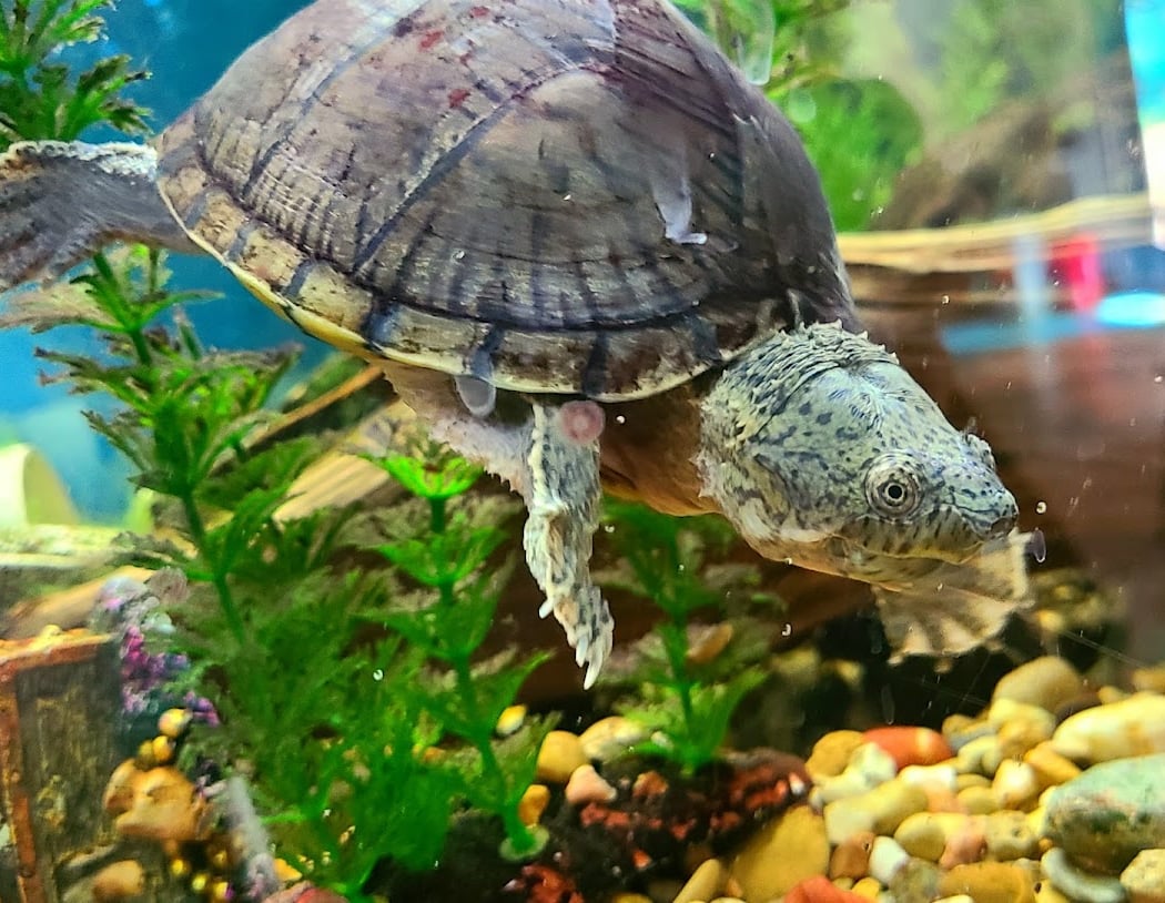 San Marcos Discovery Center 3