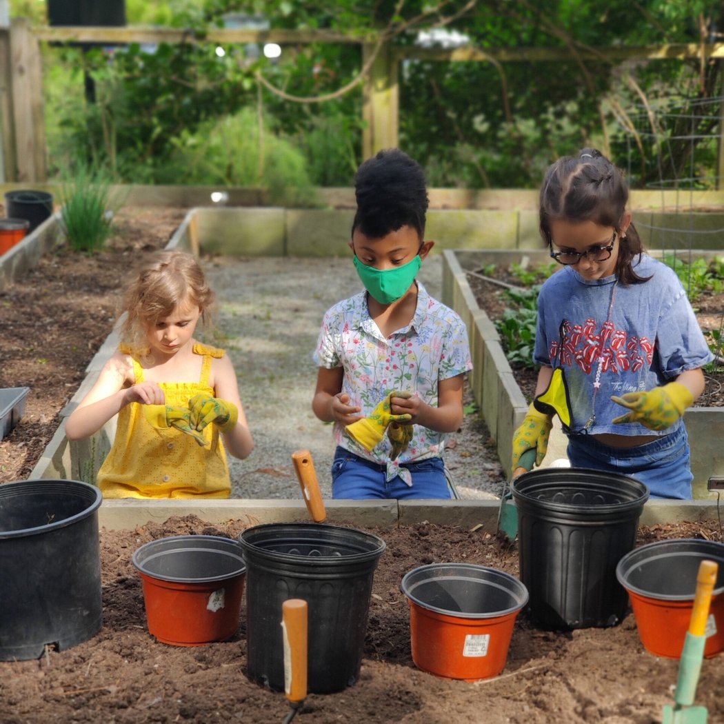 Helping Hands Gardening 1
