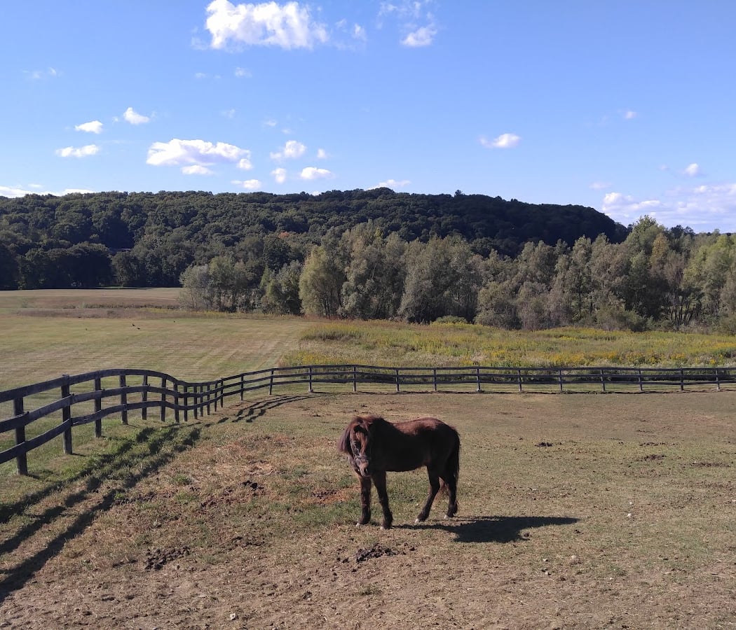 MLC Farm 1