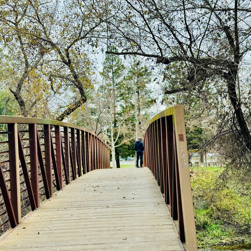 ACTC: Saratoga Backroads - BLT 5