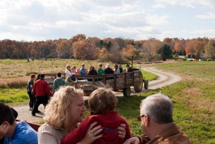 Weekend Hayrides