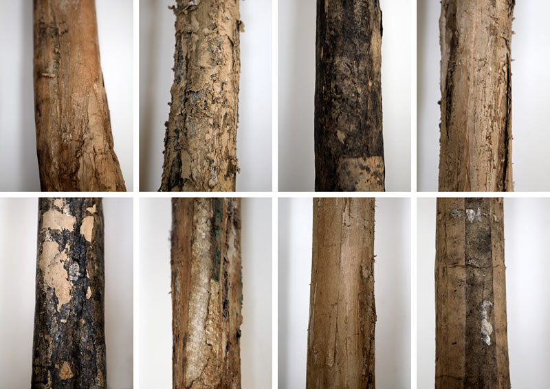 Des arbres et des histoires 5