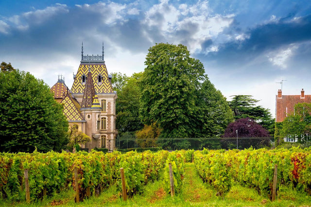 Wine 101: Intro to France 1