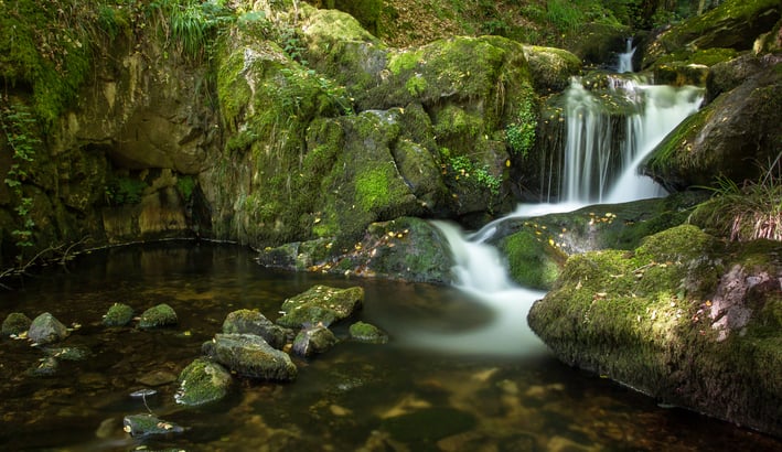 Parc naturel régional du Morvan 1