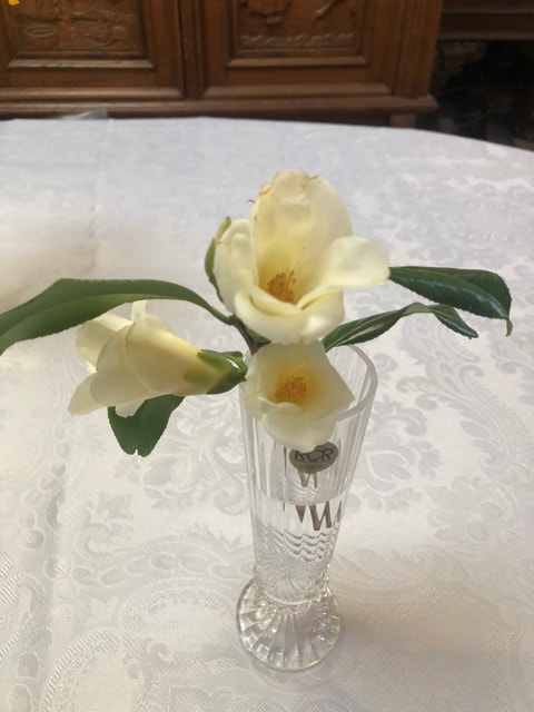 Talk on History, Culture, and Care of Camellias 2