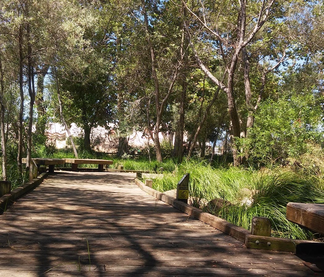 Edith Morley Park 2